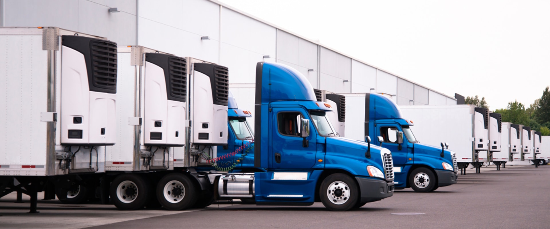 Understanding Refrigerated Truckload Services